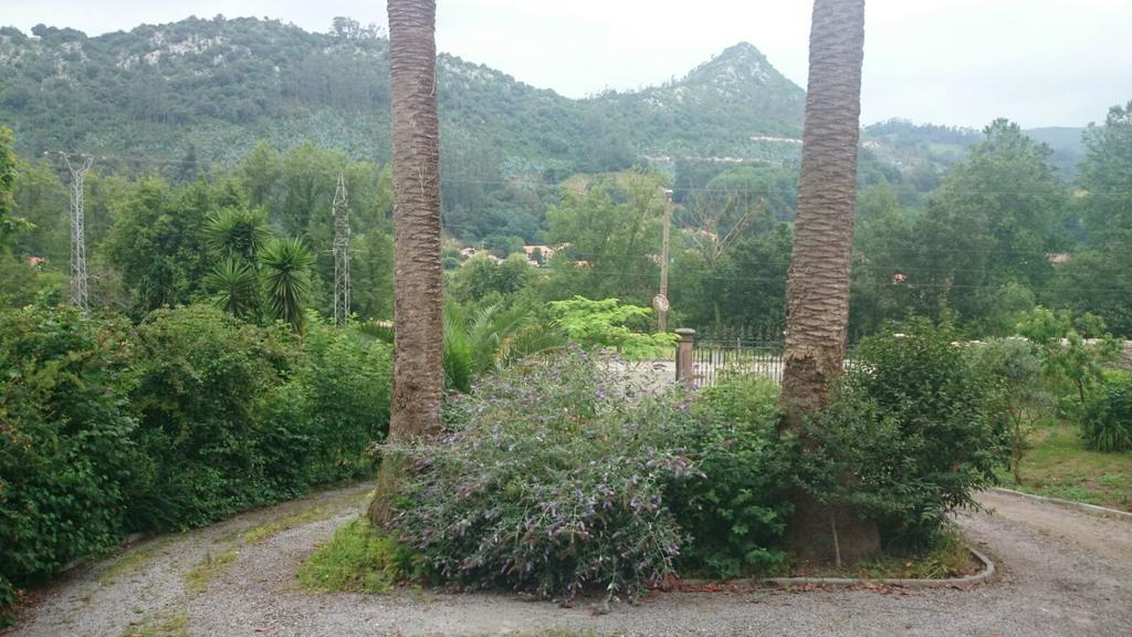 B&B El Jardin De Aes Puente Viesgo Dış mekan fotoğraf