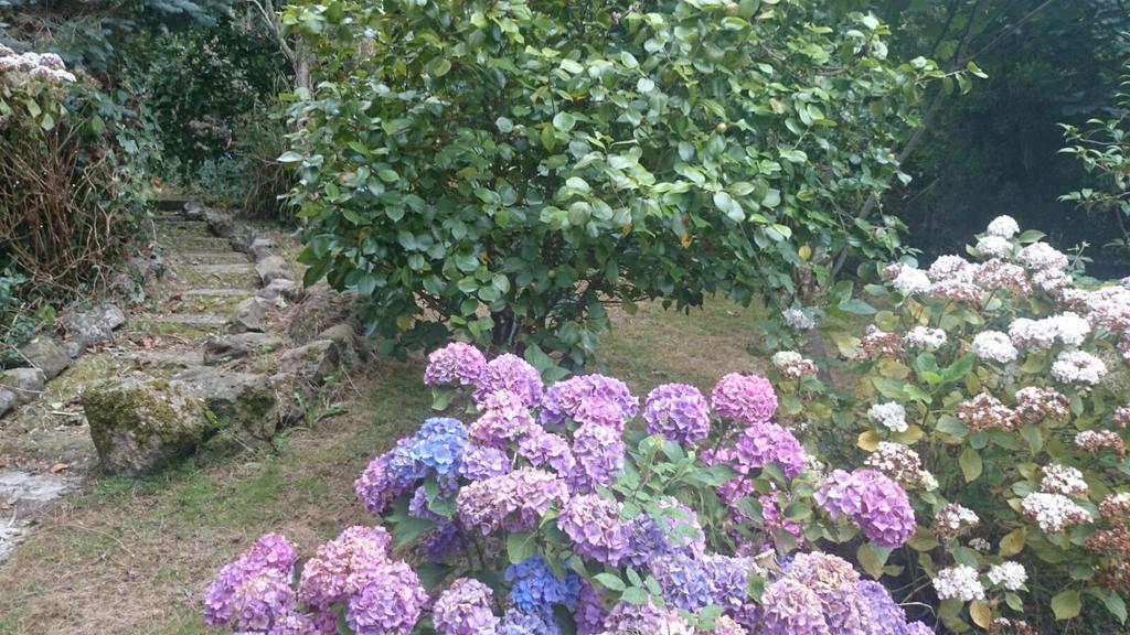 B&B El Jardin De Aes Puente Viesgo Dış mekan fotoğraf
