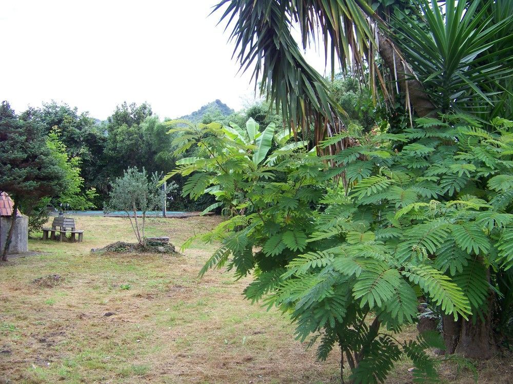 B&B El Jardin De Aes Puente Viesgo Dış mekan fotoğraf