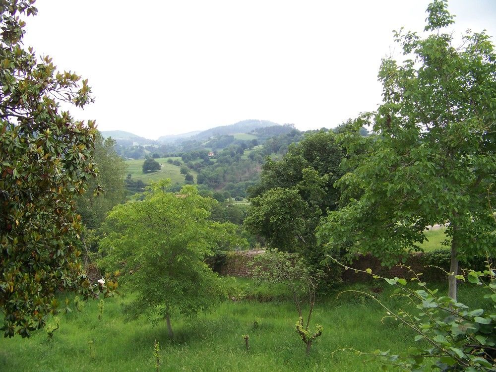 B&B El Jardin De Aes Puente Viesgo Dış mekan fotoğraf