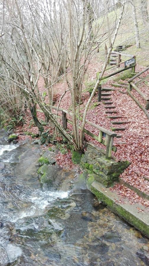 B&B El Jardin De Aes Puente Viesgo Dış mekan fotoğraf