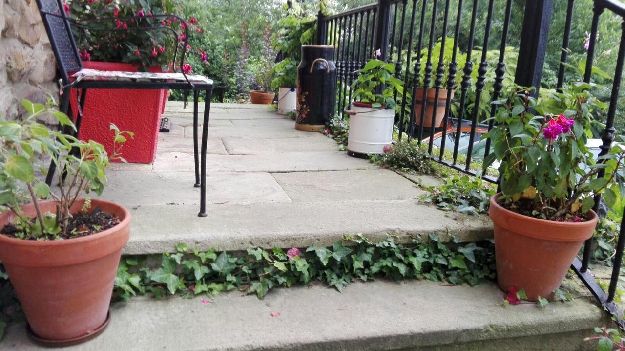 B&B El Jardin De Aes Puente Viesgo Dış mekan fotoğraf